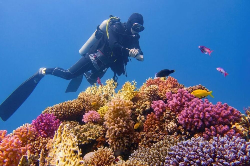 Scuba diving at the Great Barrier Reef is a fantastic experience